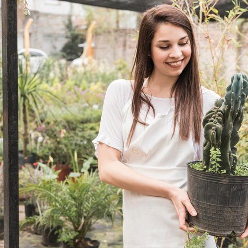Plant Boutique