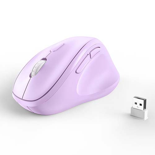 ErgoGlide Wireless Ergonomic Mouse